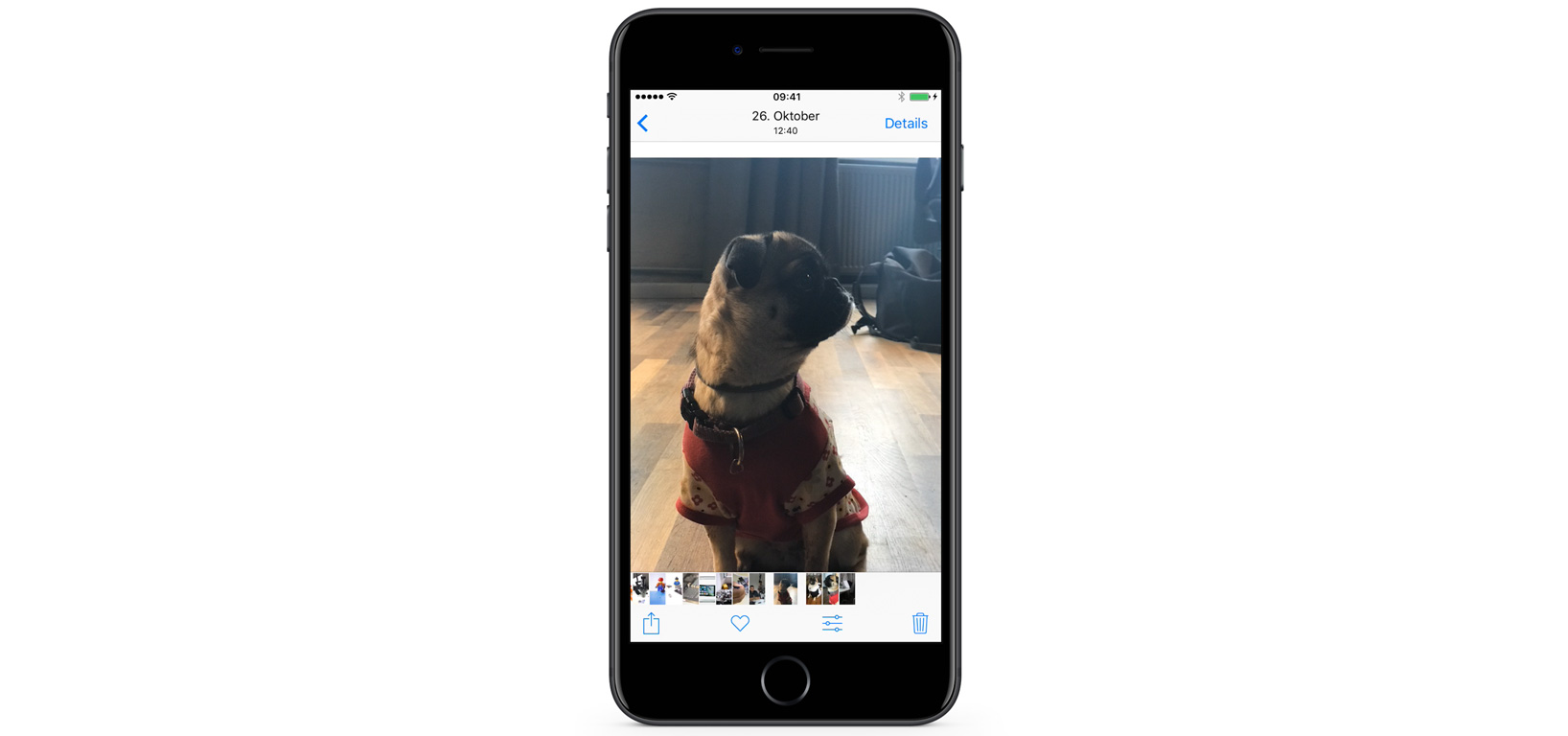iPhone Wiederherstellung: Bilder, Kontakte und Co. nach der Wiederherstellung überprüfen.